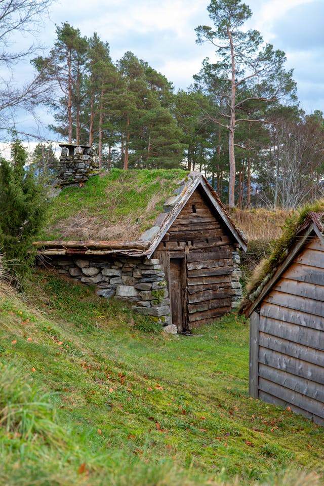 Norweski : proste dialogi na start