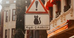 Turecki : podstawowe konstrukcje zdań dla początkujących