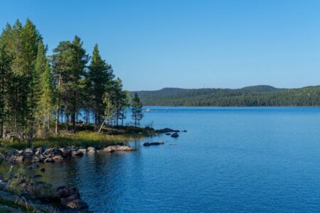 Kurs języka fińskiego – odkryj niezwykły świat Suomi z Moose