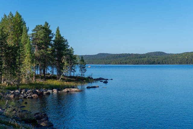 Kurs języka fińskiego – odkryj niezwykły świat Suomi z Moose