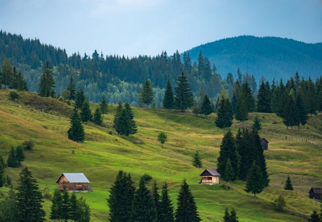 Kurs języka rumuńskiego w Moose – nauka, która naprawdę działa