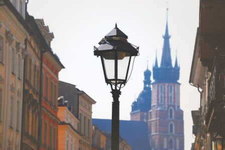Kursy języka angielskiego w Krakowie i całej Małopolsce z Moose – skuteczna nauka blisko Ciebie